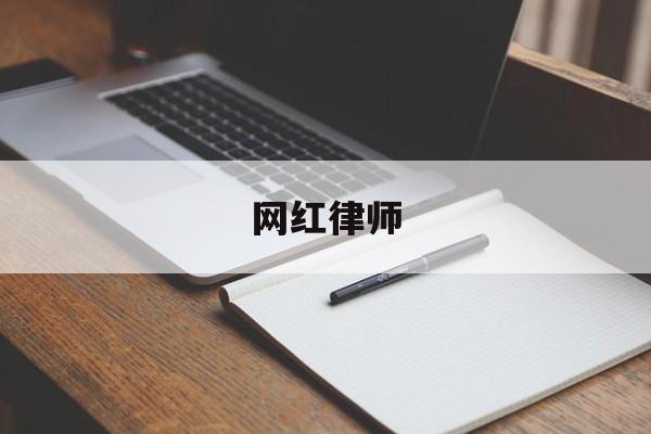 网红律师(网红律师罗翔个人资料)